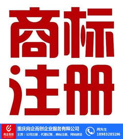 渝中代理記賬 向企而創(chuàng)，在線咨詢助力企業(yè)財務(wù)無憂