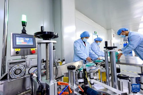 網(wǎng)絡(luò)技術(shù)驅(qū)動(dòng)河北邱縣食品企業(yè)生產(chǎn)忙