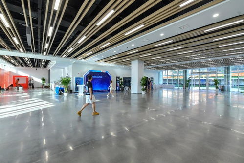 相約湖北 夢(mèng)幻靈境AI展演中心即將開館，共探網(wǎng)絡(luò)技術(shù)開發(fā)新前沿